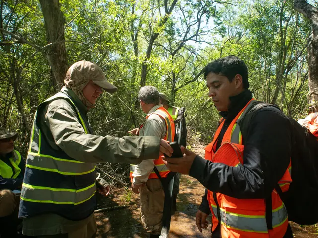 On a forest trail, a team member in a high-visibility vest holds out a handheld device towards a colleague in an orange vest who is looking at a phone