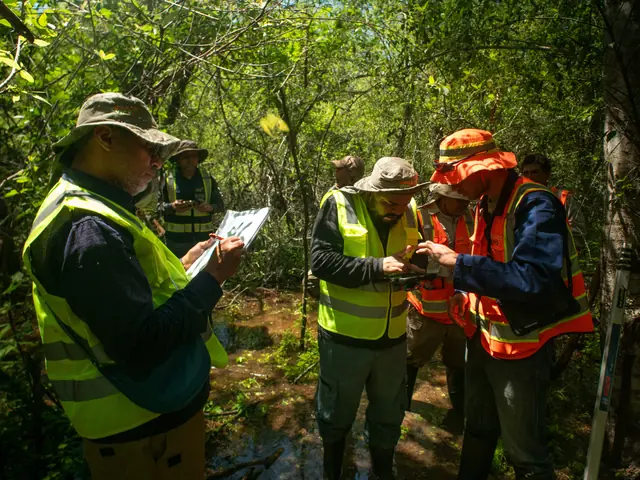 A group in high-visibility vests and hats stands in wet forest undergrowth, one reading a printed document while others look at a phone