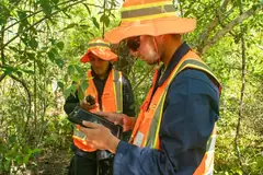 Recording forest data in the field
