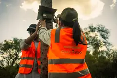 Setting up a camera trap on a tree