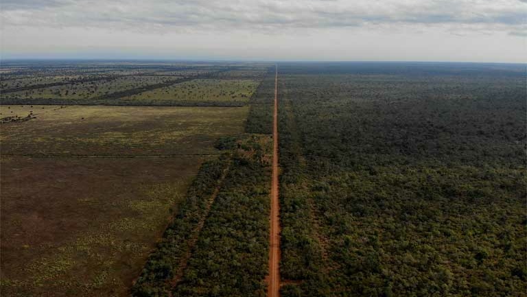 Gran Chaco Biodiversity Creative Carbon